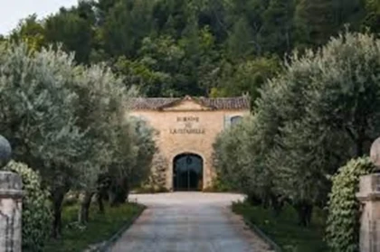 VISITE ET DEGUSTATION DOMAINE VITICOLE (2) - Bonjour Fun