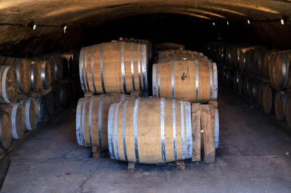 Visite guidée approfondie - Bonjour Fun