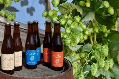 Visite Guidée Brasserie du Pays Welche - Bonjour Fun