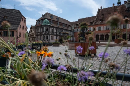 Visite guidée: découvrez Barr au travers de son patrimoine en danger - Bonjour Fun