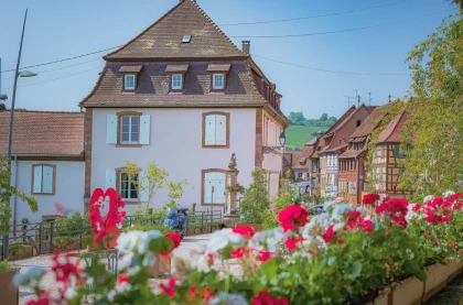 Visite guidée: découvrez Barr au travers de son patrimoine en danger - Bonjour Fun