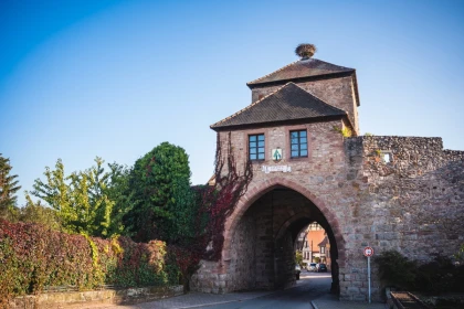 Visite guidée: découvrez le patrimoine de Dambach-la-Ville - Bonjour Fun