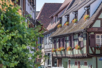 Visite guidée: découvrez le patrimoine de Dambach-la-Ville - Bonjour Fun