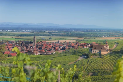 Visite guidée: découvrez le patrimoine de Dambach-la-Ville - Bonjour Fun