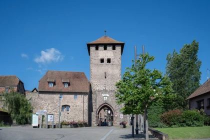 Visite guidée: découvrez le patrimoine de Dambach-la-Ville - Bonjour Fun