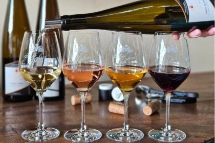 Visite guidée du domaine viticole en Alsace - Bonjour Fun