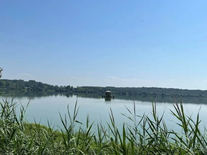 Visite Marais d'Orx en Trottinette électrique - Bonjour Fun