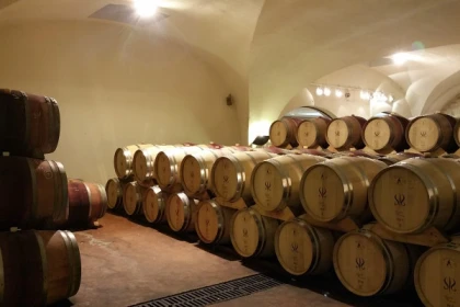 Votre escape game dans les vignes  - Bonjour Fun