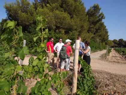 Walk and Taste - Bonjour Fun