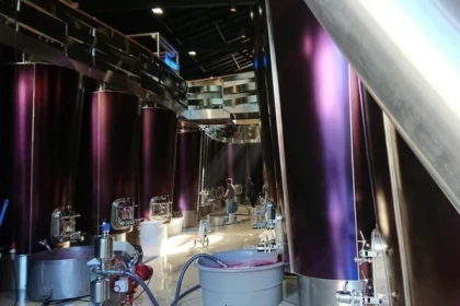 Wine tour à St-Émilion - Bonjour Fun