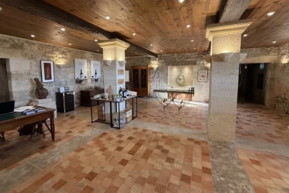 Wine tour en privé au départ de St-Emilion (1 à 8 pers.) - Bonjour Fun