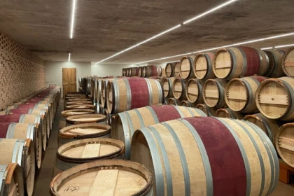 Wine tour en privé au départ de St-Emilion (1 à 8 pers.) - Bonjour Fun