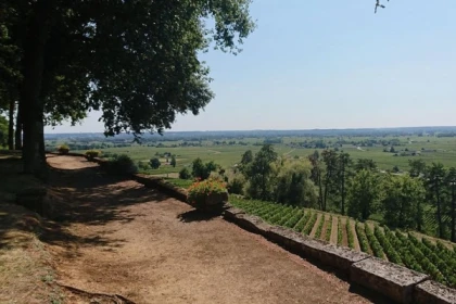 Wine Tour Saint-Émilion & Pomerol depuis Bordeaux - Bonjour Fun