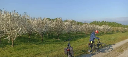 1/2 journée HALF DAY - Bonjour Fun