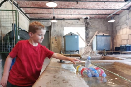 Atelier "Course de bateau" - Bonjour Fun