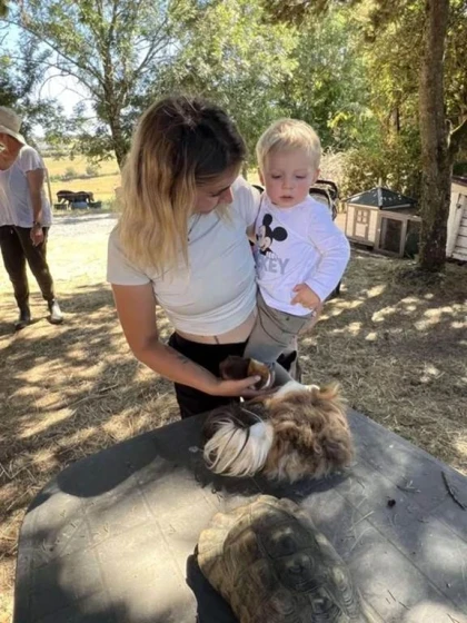 Atelier « Petit Fermier » - Bonjour Fun