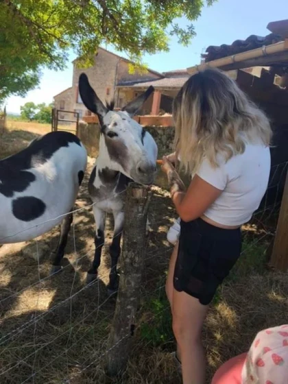 Atelier « Petit Fermier » - Bonjour Fun