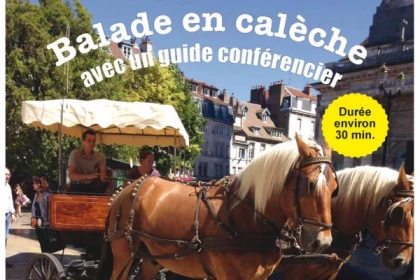 Balade en calèche avec un guide conférencier - Bonjour Fun