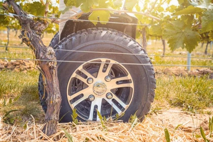 Balade en gyropode ou trottinette électrique dans le vignoble et visite dégustation - Bonjour Fun