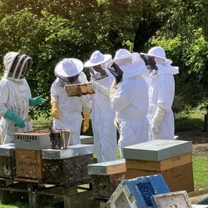 Baptême d'Apiculture - Bonjour Fun