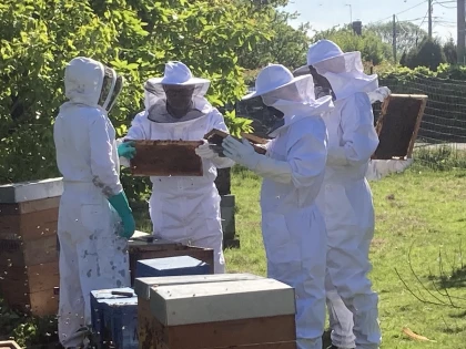 Baptême d'Apiculture - Bonjour Fun