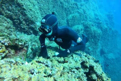 Baptême de plongée en apnée - Saint Raphaël - Bonjour Fun