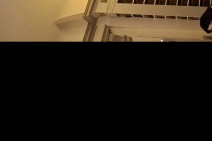 Courbet, entre Lettres et Passion - Bonjour Fun