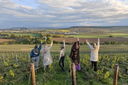 Dégustation de champagne, balade panoramique, vignoble - Bonjour Fun