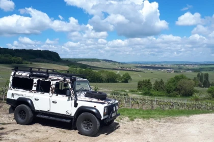 Dégustation de champagne, balade panoramique, vignoble - Bonjour Fun
