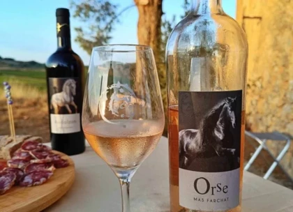 Dégustation de vin et de tapas en pleine nature - Bonjour Fun