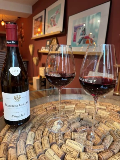 DÉGUSTATION DÉCOUVERTE — 4 VINS - Bonjour Fun