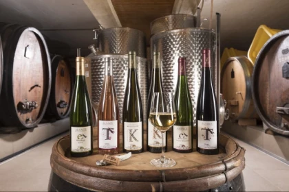 DEGUSTATION GOURMANDE VIN ET CHOCOLAT ! - Bonjour Fun