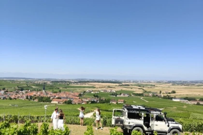 Dégustation Millésimé et balade panoramique, vignoble - Bonjour Fun