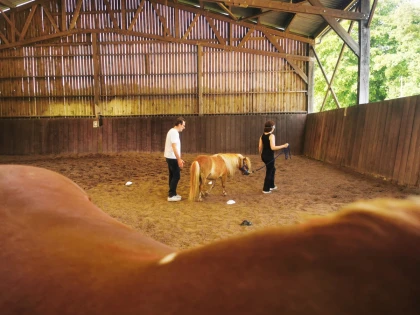 Équicoaching – Se révéler grâce au cheval - Bonjour Fun
