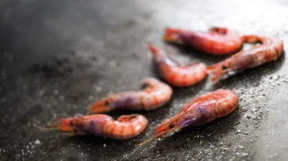 Escapade Gastronomique - Bonjour Fun