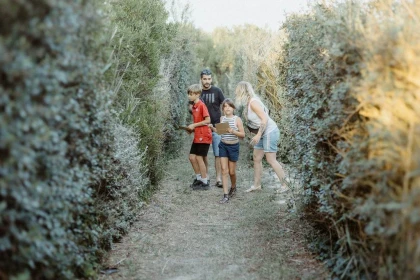 Escape game - Bonjour Fun