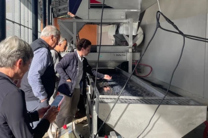 Excursion Médoc et Margaux : Cru Bourgois et Cru Classé - Bonjour Fun