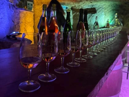 Guided Tour and Wine Tasting - EN - Bonjour Fun