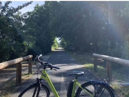 Journée - Day (2) - Bonjour Fun