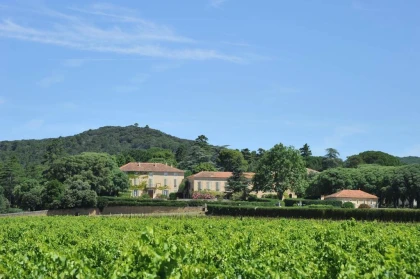 Le Banquet des Vendanges - Saint Estève x Bistrot Demols - Bonjour Fun