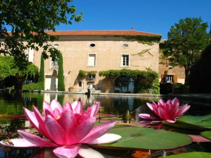 Le Banquet des Vendanges - Saint Estève x Bistrot Demols - Bonjour Fun