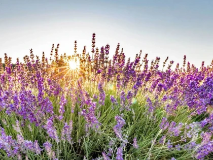 LOCATION 1 SEMAINE - Bonjour Fun