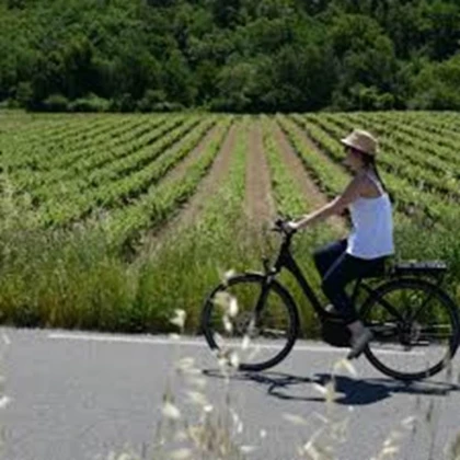LOCATION 24 heures - Bonjour Fun