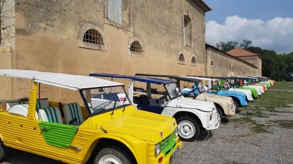 Pack cortège mariage - Bonjour Fun