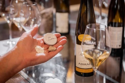 Parenthèse Vigneronne 'la biodynamie et l'expression sur le Kaefferkopf' - dégustation - Bonjour Fun