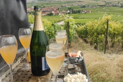 Pique-nique Dégustation dans le vignoble de champagne - Bonjour Fun