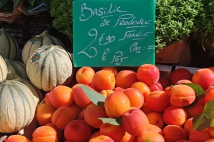 Tour du marché et terroir local à Aix-en-Provence - Bonjour Fun