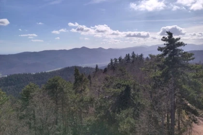 Randonnée guidée au Galtz, vue à 360° - Bonjour Fun