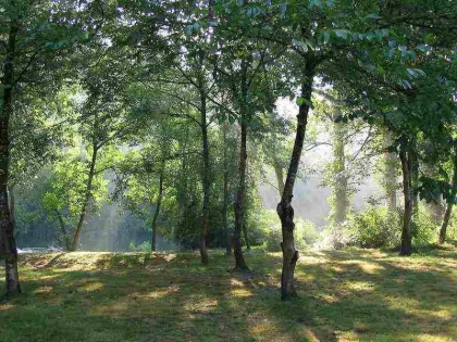Randonnée historique en forêt de Chantilly - Bonjour Fun