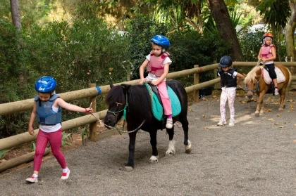 Séance Pégase, demi-journée pour enfants dès 8 ans  - Bonjour Fun